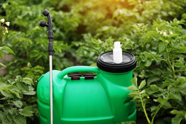 تصویر 4 از سمپاش دستی کوچک برای باغچه های خانگی آپارتمانی